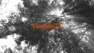 Backdrop to the movie "Evangelion: 2.0 You Can (Not) Advance" #186515