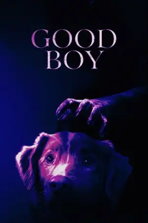 Poster to the movie "Good Boy" #798397
