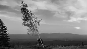 Backdrop to the movie "The Virgin Spring" #753460