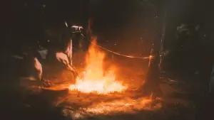 Backdrop to the movie "Garrano" #191432