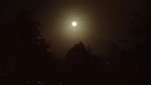 Backdrop to the movie "Sometimes I Think About Dying" #760502