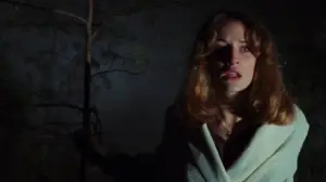 Backdrop to the movie "The Evil Dead" #637020