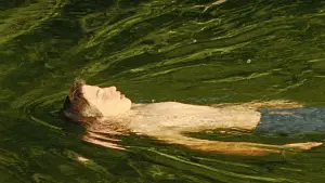 Backdrop to the movie "Strange River" #587717