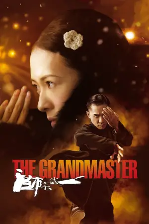 Poster to the movie "The Grandmaster" #531981