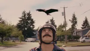 Backdrop to the movie "Hot Rod" #663944