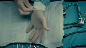 Backdrop to the movie "The Skin I Live In" #699154