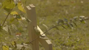 Watch film Moving Day | "Moving Day" a Logan Browning Capstone Film