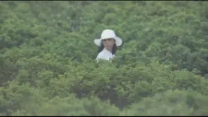 Backdrop to the movie "Bridal Doll" #933991