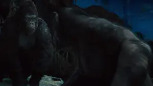 Backdrop to the movie "Rise of the Planet of the Apes" #226312