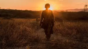 Backdrop to the movie "The Killer" #485607