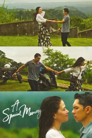 Poster to the movie "A Special Memory" #767124