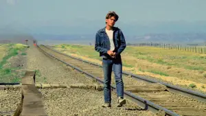 Backdrop to the movie "Badlands" #667983