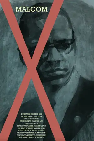 Poster to the movie "Malcolm X" #854534