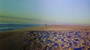 Backdrop to the movie "Muppets from Space" #742962