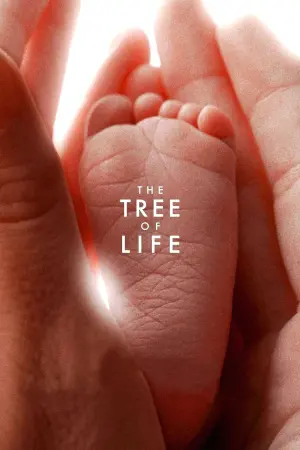 Poster to the movie "The Tree of Life" #118888