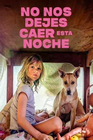 Poster to the movie "Don