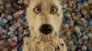 Backdrop to the movie "Isle of Dogs" #606295