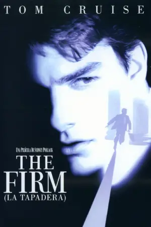 Poster to the movie "The Firm" #658566