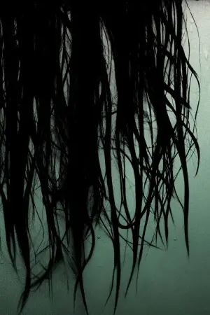 The Grudge
