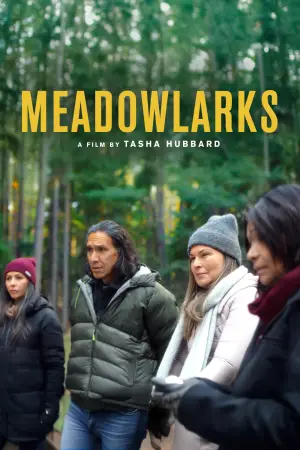Poster to the movie "Meadowlarks" #623421