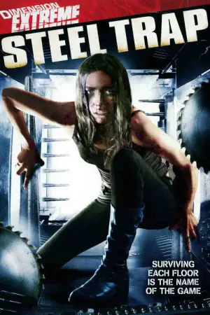 Poster to the movie "Steel Trap" #722455