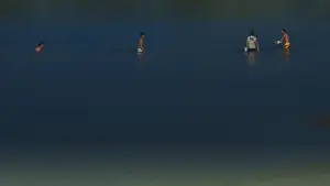 Backdrop to the movie "The Rib of the Greater Bay Area" #776378