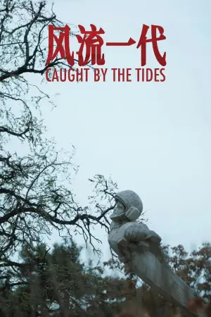 Poster to the movie "Caught by the Tides" #612003