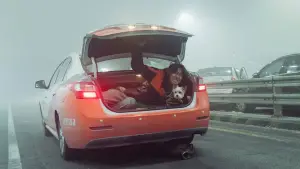 Backdrop to the movie "Project Silence" #598379