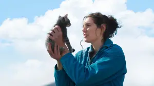 Backdrop to the movie "Sorry, Baby" #523420