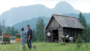 Backdrop to the movie "Miłość jak miód" #756755