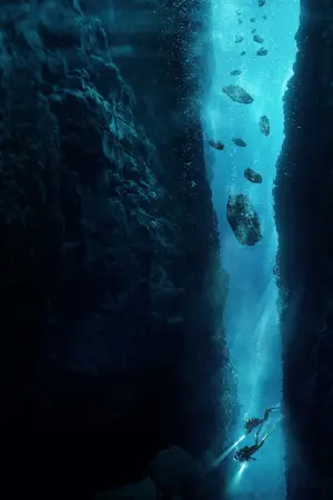 Poster to the movie "The Dive" #323425