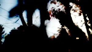 Backdrop to the movie "Early Experiments No. 4 / The Old Master Painter" #199908