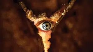 Backdrop to the movie "Return to Silent Hill" #508779