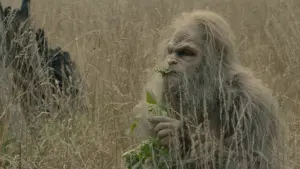 Backdrop to the movie "Sasquatch Sunset" #475933