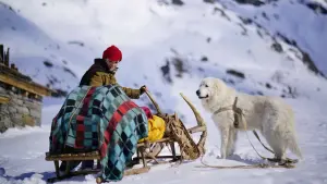 Backdrop to the movie "Belle and Sebastian 3: The Last Chapter" #400906