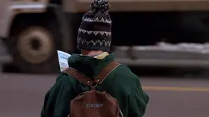 Backdrop to the movie "Home Alone 2: Lost in New York" #567466