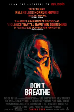 Poster to the movie "Don