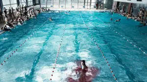 Backdrop to the movie "Alpha" #519479