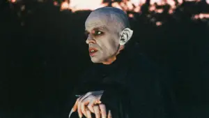 Backdrop to the movie "Nosferatu the Vampyre" #896891