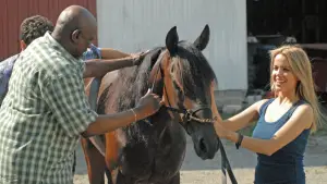 Backdrop to the movie "Amazing Racer" #742515