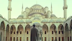 Backdrop to the movie "Five Minarets in New York" #426184