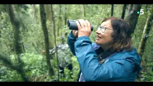 Backdrop to the movie "Ivohiboro, la forêt oubliée" #735904
