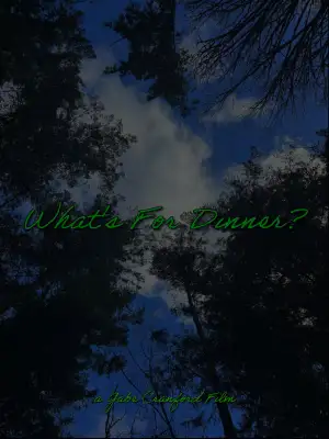 Poster to the movie "What