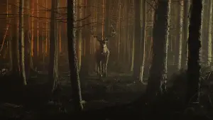 Backdrop to the movie "Bambi: The Reckoning" #586443