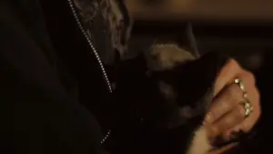 Backdrop to the movie "Sunshine Cleaning" #610141