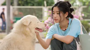 Backdrop to the movie "Gohan" #766290