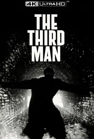 Poster to the movie "The Third Man" #700038