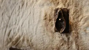 Backdrop to the movie "Poor Things" #584113