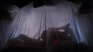 Backdrop to the movie "The Rocky Horror Picture Show" #648024