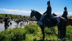 Backdrop to the movie "the legend" #550801